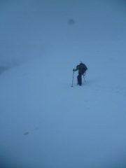 nebbia