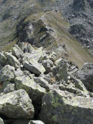 colletto dalla punta