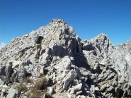 parte terminale della cresta