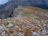 cresta di discesa