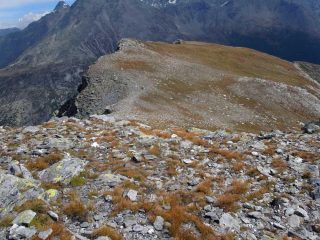 cresta di discesa