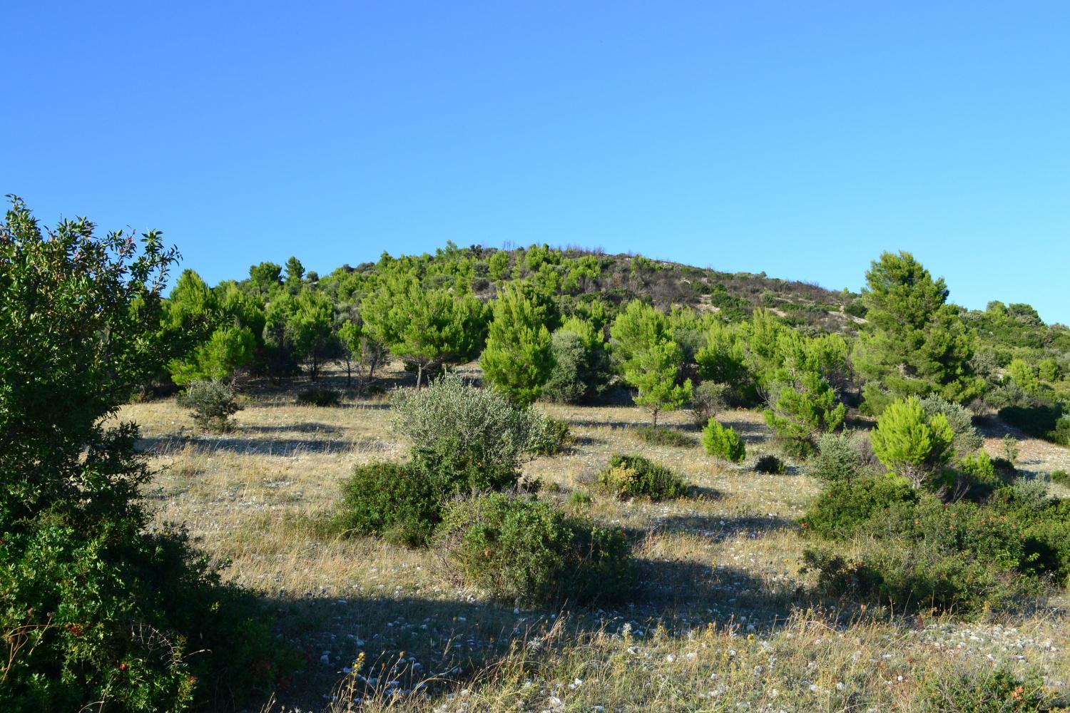 Tuppo dell'Aquila visto dalla sella