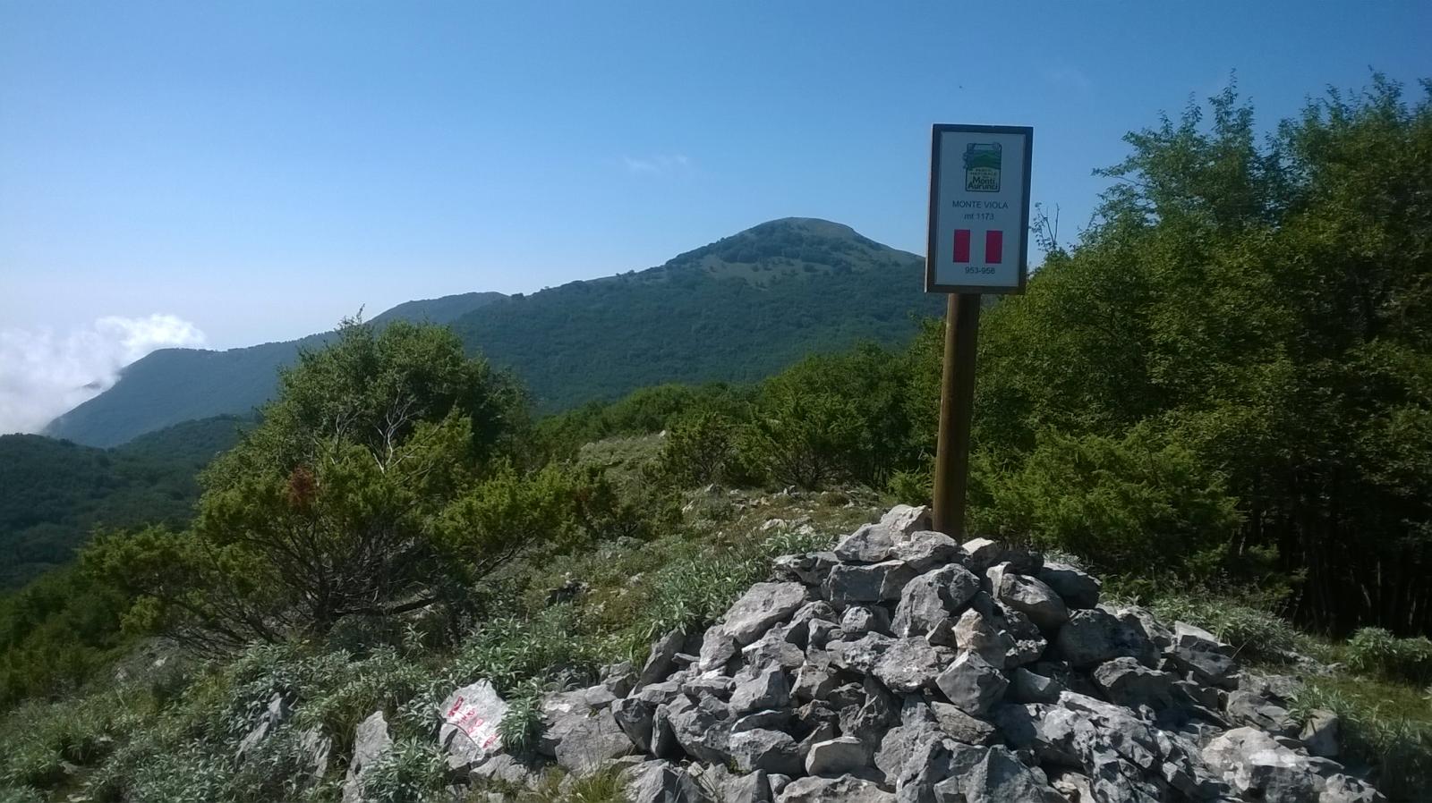 la cima,sullo sfondo il Ruazzo