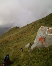 Fine della cresta vaccarezza, oltre la dorsale erbosa si intravede il Rifugio Salvin