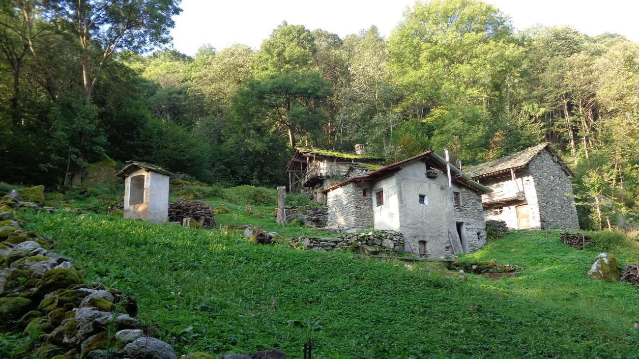 Thierè o Tiglieretto