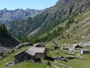 Alpeggi
