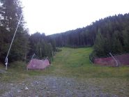 pista del bosco senza neve