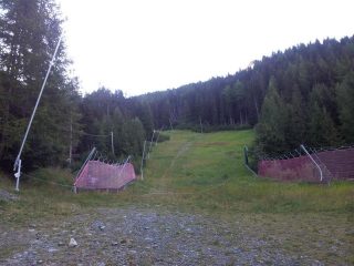 pista del bosco senza neve