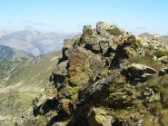 vetta della testa alta