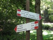 cartelli per credarian