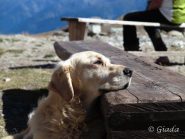 Momenti di relax al rifugio