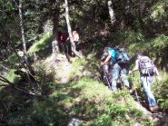 Prima parte nel bosco