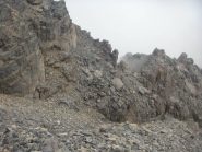 momenti della cresta SE