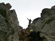 quasi in cima