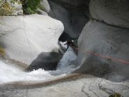 adriain, come un gatto selvatico