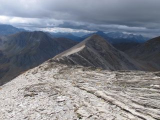 Dalla q. 2995 verso la Fea Nera