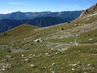 Pian dell'Olio dall'alto