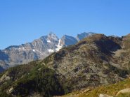 uno sguardo alle levanne