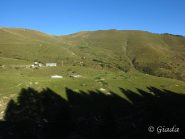 I bei pascoli di Monesi