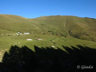 I bei pascoli di Monesi