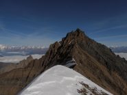 02 - la Grivola dalla cima