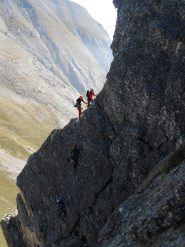 Uno sguardo su King Line