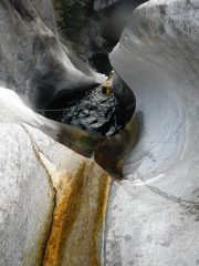 saltone travestito da taboga