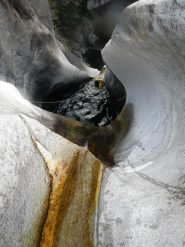 saltone travestito da taboga