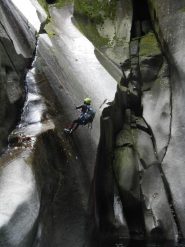 lo vedi che è un tabooga!