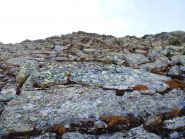 Parete N del Corno Mud