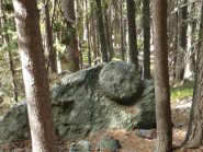 una delle numerose macine