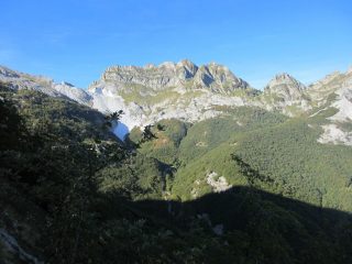 Il m. Cavallo