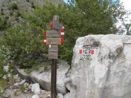  Palina