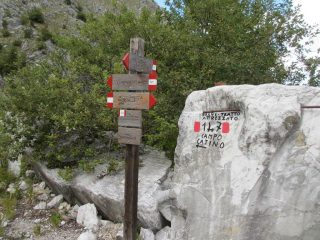  Palina