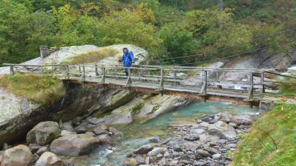 Sul ponte per Forzo