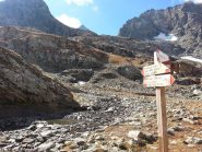 Paline al bivio col sentiero per il Colle d'Arnas