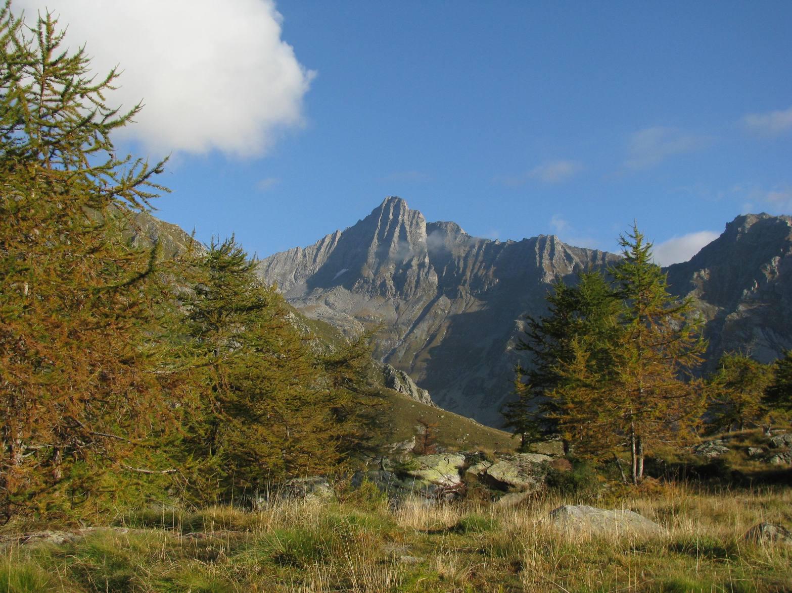 Salendo al Vasinetto, vista sulla Torre di Lavina