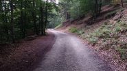 sterrata verso Prese Rossi