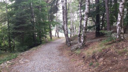 Prese Rossi area picnic
