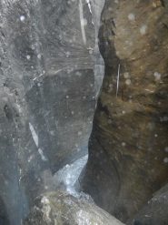 inforramento garantito