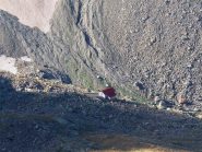 il rifugio Morelli-Buzzi dalla cima
