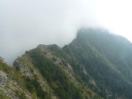 Versante Nord ..nella nebbia