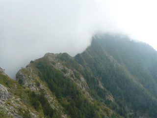 Versante Nord ..nella nebbia