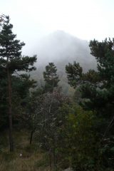 Oggi giornata coperta