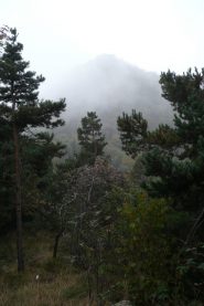 Oggi giornata coperta