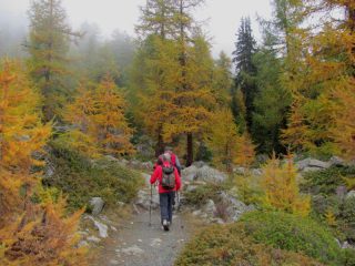Ci sono già i colori autunnali