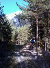 forestale vs la Vachette
