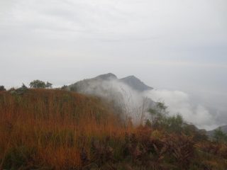 sulla dorsale