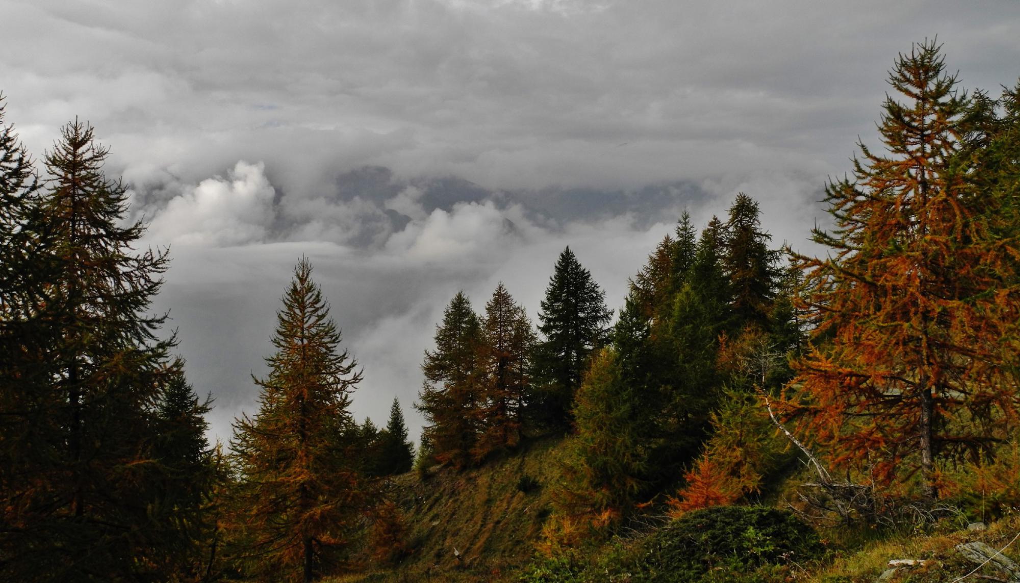 Avvicinamento autunnale