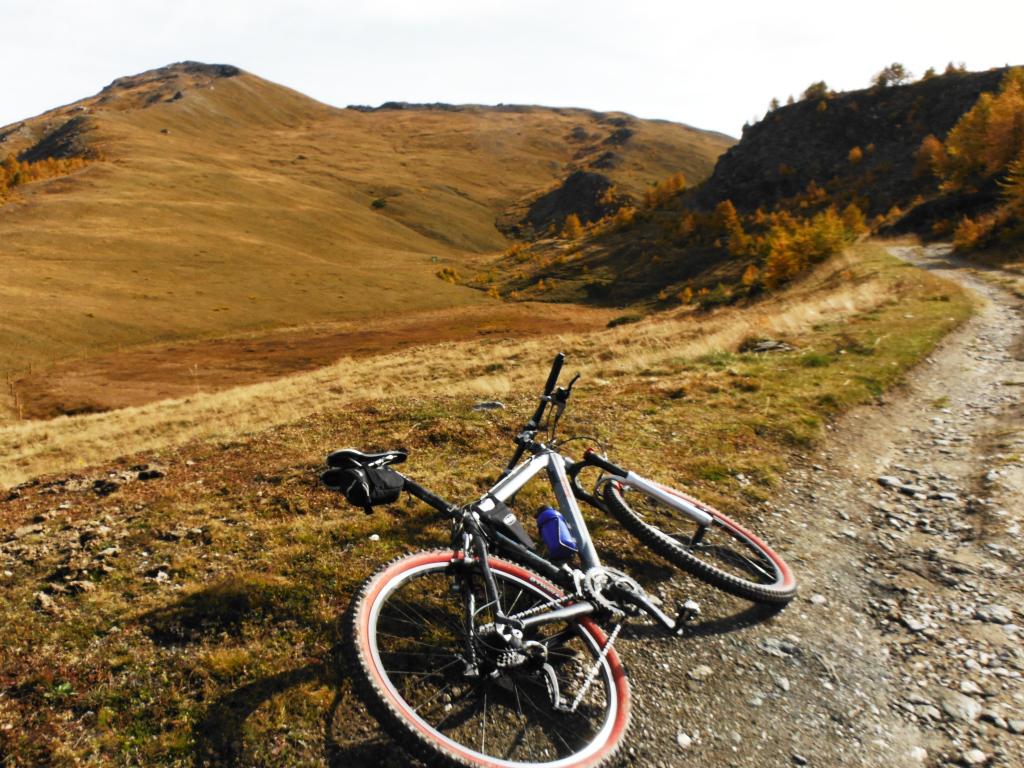 Si arriva in mezzo ai pascoli